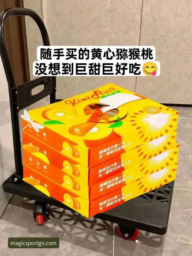 揭秘奇异果体育服务必备：2025新版平台技术评测与深度体验